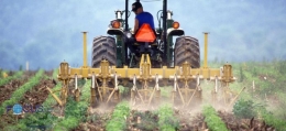 Trattorista agricolo e forestale 